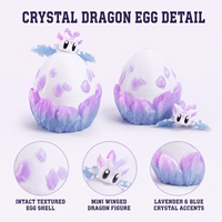 Ensemble d'œufs de dragon fantastiques imprimés en 3D avec figurine de mini-dragon, 6 styles de collection