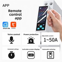 Interrupteur intelligent SPM avec relais temporisé, affichage LCD de la consommation d'énergie, contrôle à distance via application WiFi/Zigbee, système de maison intelligente, 220V Chine