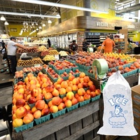 Sacs à glace imprimés à cordon de serrage, de qualité alimentaire, sans BPA, résistants, pour usage domestique, emballage biodégradable et flexible