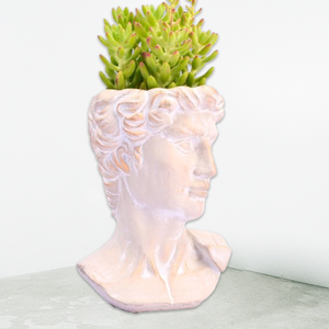 กระถางปลูกต้นไม้หน้าสำหรับตกแต่งสวนกระถางบอนไซอวบน้ำกระถางซีเมนต์ขนาดเล็กสำหรับปลูกในร่มกลางแจ้งกล่องวินเทจ - Product Image 3