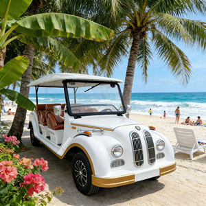 Superbe prix réduit – Voiture électrique Golden 3+1, véhicule touristique classique vintage, voiture de tourisme avec moteur AC, batterie, 11 places à vendre - Product Image 1