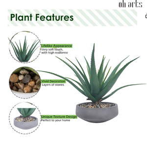 Plantes succulentes plantes artificielles fausses plantes d'<span class=keywords><strong>aloe</strong></span> <span class=keywords><strong>vera</strong></span> en pot de ciment plante d'agave pour la maison <span class=keywords><strong>bureau</strong></span> <span class=keywords><strong>bureau</strong></span> salle de bain étagère décorations - Product Image 5