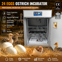 Incubateurs électriques pour 24 œufs d'autruche BeYou Good Price pour l'élevage