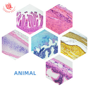 200 types d'échantillons de diapositives, typiques pour l'enseignement au primaire et au secondaire, incluant 100 espèces chacune d'animaux et - Product Image 1