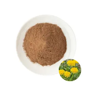 High Quality Dandelion Extract Dandelion Root Powder