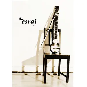 JELO Professional Concert Quality Handmade Esraj Musical Instrument Amazing Professional Concert Quality Esraj