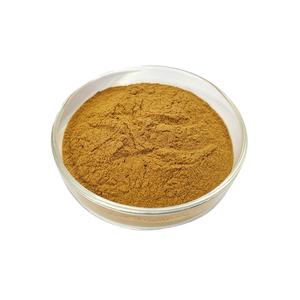 Extrait de plante Extrait de racine de rhubarbe de haute qualité Extrait de rhubarbe - Product Image 1