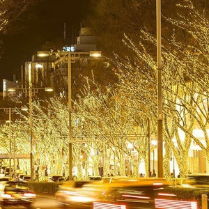 Decoration <strong>Light</strong> for Mall Waterproof <strong>Plug</strong> <strong>in</strong> for Indoor Outdoor Fairy Christmas Tree Patio Wedding Warm White LED String <strong>Light</strong> - Product Image 6