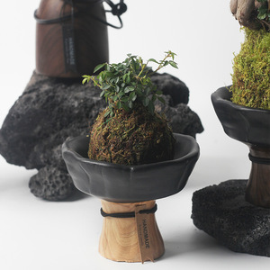 <span class=keywords><strong>Maceta</strong></span> <span class=keywords><strong>de</strong></span> Cerámica Transpirable con Diseño Nórdico para Micro Paisajes, Musgo, Plantas Suculentas, Aspargos, Plantas Verdes y Mesa <span class=keywords><strong>de</strong></span> Té - Product Image 4