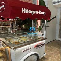Chariot de Présentation de Glaces et Gelatos Neuf pour Hôtels – Vente Flash
