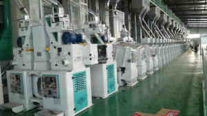 2024 meilleure machine de moulin à riz automatique ensemble complet machine de moulin à riz - Product Image 6