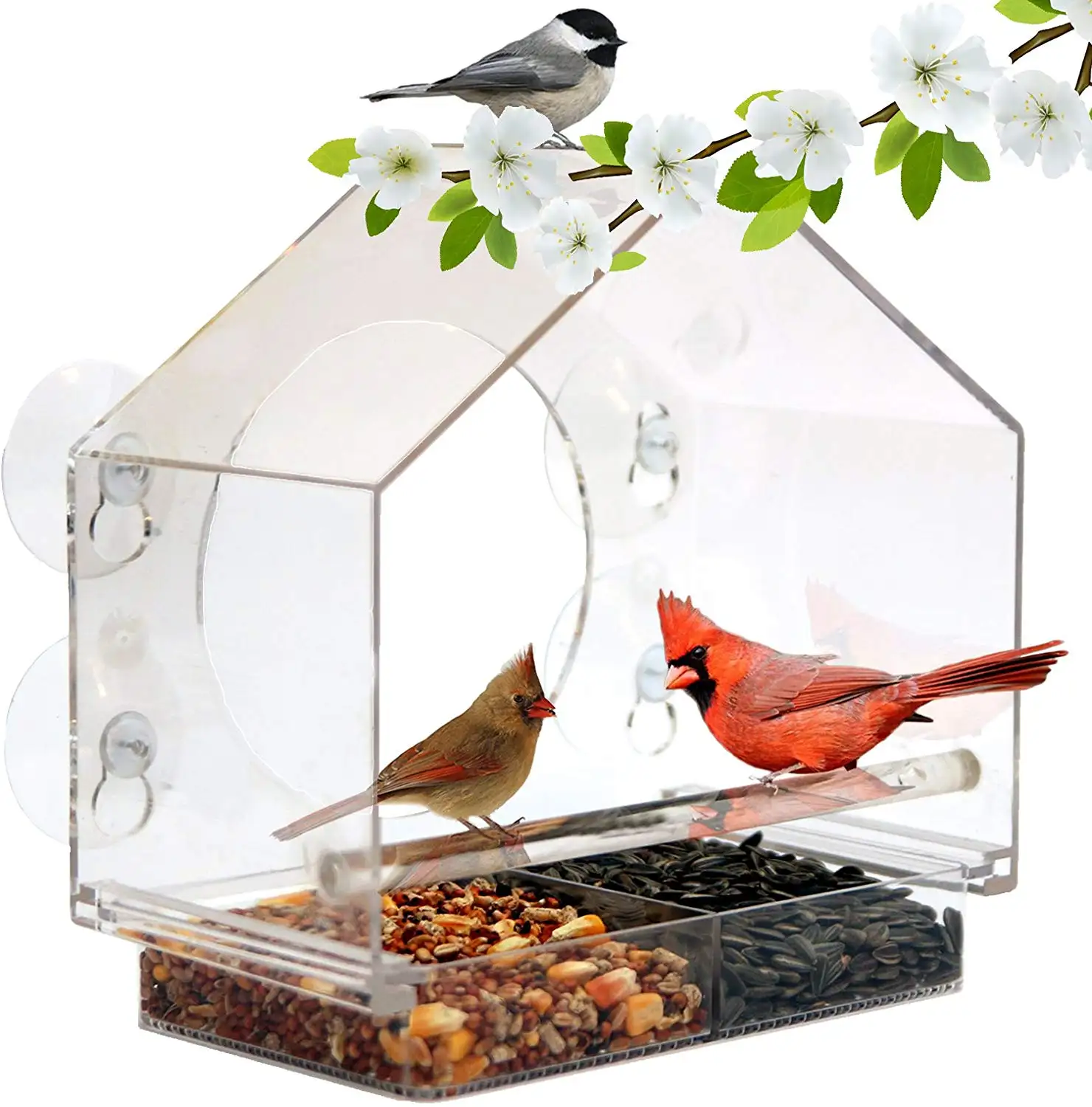 Casa de alimentador de pássaros <span class=keywords><strong>acrílico</strong></span> transparente, em qualquer lugar, com bandeja de alimentação deslizante