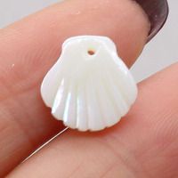Perle de Mère Naturelle en Forme de Petit Secteur Pendentif en Coquille de Corail Perles en Vrac pour DIY Fabrication de Bijoux Collier Boucles d'Oreilles Accessoire