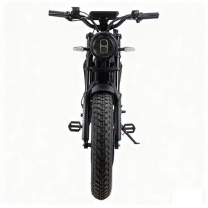 Bicicletta Elettrica da 20 Pollici con Motore Brushless, Pneumatici Larghi, Fuoristrada, Stile Retrò, Batteria al Litio, 1000W, per Ciclismo Montano e da Corsa, Capacità 150kg - Product Image 4