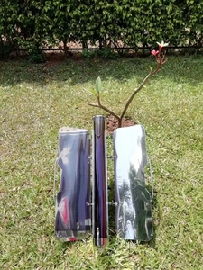 Cuisinière en acier inoxydable de <span class=keywords><strong>four</strong></span> thermique <span class=keywords><strong>solaire</strong></span> à haut rendement pour pique-nique familial hors réseau économie d'énergie - Product Image 3