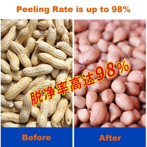 เครื่องกะเทาะเปลือกถั่วลิสงอุตสาหกรรมแบบมอเตอร์ กำลังการผลิตสูง 220V สำหรับขาย - Product Image 5
