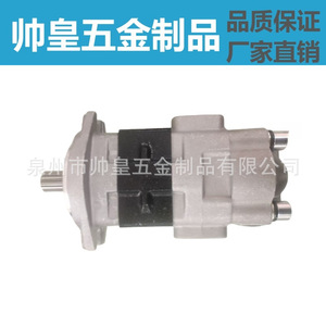 Pompe à engrenages hydraulique Changyuan CBHYGK-G25F3.5-AT à montage sur bride, entraînement par moteur, à débit fixe - Product Image 3