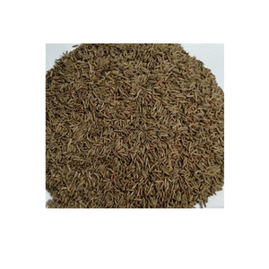 Semillas crudas secas de alcaravea 99% de pureza, listas para envío inmediato, producidas en Egipto - Product Image 1