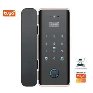 Kunci Pintu Kaca/Kuningan Pintar Tuya 3D Face Smart Glass dengan Pengenalan Wajah, Sidik Jari, Kartu, Kata Sandi, Kunci Biometrik, WiFi, Kartu Memori, dan Kontrol Aplikasi - Product Image 1