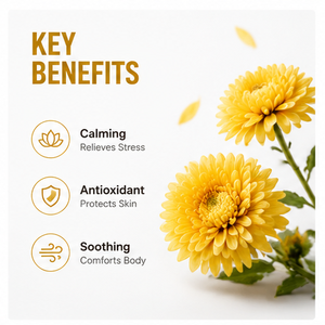 Vente en gros d'usine, <span class=keywords><strong>huile</strong></span> de chrysanthème pure 10 ml, <span class=keywords><strong>huile</strong></span> <span class=keywords><strong>essentielle</strong></span> naturelle pour les soins de la peau - Product Image 6