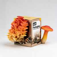 Boîte d'emballage personnalisée pour kit de culture de champignons, vente en gros à bas prix, avec poignée, étanche, pour kit de champignons frais, en papier kraft