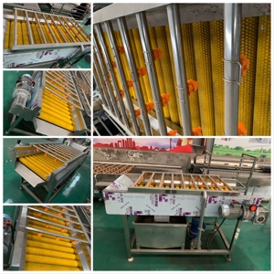 Commercial Electric Washing Equipment For Fruit And <b>Vegetable</b> Batch Processing At Large Scale Food Factory Site - Product Image 6