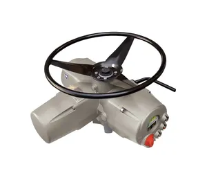 Actuador de Bajo Nivel de Ruido a Precio Competitivo - BIFFI ICON3000 1/2 1/4 Puertos Temperatura Media Normal para - Product Image 4