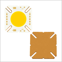 Haute puissance 50W 100W 500W 1000W 2000W 5000W COB puce LED panneau LED Module de lumière pour les projets d'ingénierie en plein air lampe