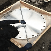 Flanges d'alimentation en eau EN-1092, fabricant, BL DN125 DN150 DN200 DN250 DN300, acier au carbone forgé A105 S235JR, flanges aveugles