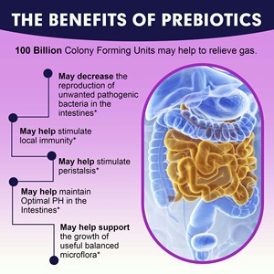 Cápsulas Probióticas para Mujeres, Gran Venta, con 100 Mil Millones de UFC, Favorecen la <span class=keywords><strong>Flora</strong></span> <span class=keywords><strong>Intestinal</strong></span>, Desarrollo de Bacterias Buenas, Salud Digestiva - Product Image 3