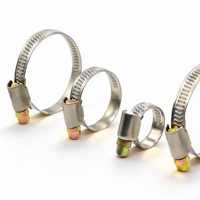 Colliers de serrage pour tuyaux en plastique de haute qualité, réglables, robustes, à boucle, pour fixation de tuyaux d'incendie et d'eau, type « German Throat »