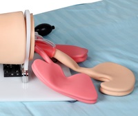 Maniquí de Entrenamiento para Intubación Traqueal y Manejo de las Vías Respiratorias Multifuncional, Modelo de PVC con Certificación CE ISO para Educación Médica y de Enfermería