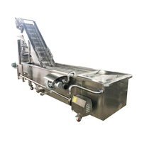 Fruitwas- en sorteermachine, geïntegreerd reinigen, sorteren, verheffen, voor appels, citrusvruchten etc.