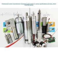 Moteur à engrenages planétaires CC 50mm 52mm 12V 24V 48V 50Nm à couple élevé, personnalisé pour système de suppression d'incendie par canon à eau