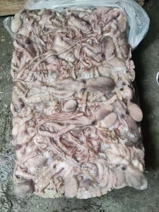 Buen <span class=keywords><strong>precio</strong></span> Frozen China Long Leg Octopus - Product Image 6