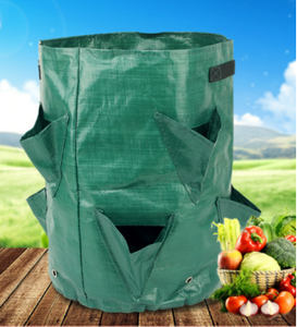 Bolsa para cultivo de frutas y setas, maceta para jardinería, PE, barata - Product Image 2