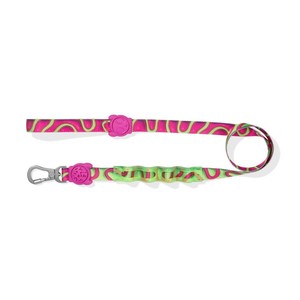 สายจูงสุนัข H3D Jelly Shock Absorbing Leash 2.0 พร้อมที่จับสบายมือและคลิปโลหะทนทานสำหรับสุนัขขนาดเล็กถึงกลาง - Product Image 4