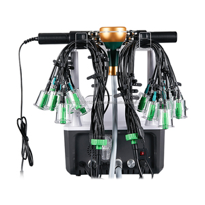 Nouveau Système de Massage Corporel 2026 Blanc, avec Appareil d'Acupuncture par Ventouses, Rouleau de Massage, EMS et RF, pour Clinique de Bien-être - Product Image 6