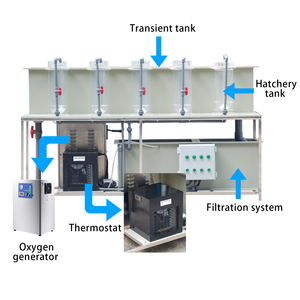 Incubadora automática de <span class=keywords><strong>huevos</strong></span> de trucha QihangRAS, sistema de acuicultura PP para cultivo de truchas de tilapia, incluye tratamiento de agua - Product Image 4