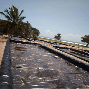 Geomembrana 4mm <span class=keywords><strong>precio</strong></span> de fábrica de pescado Hdpe estanque Liner <span class=keywords><strong>Epdm</strong></span> <span class=keywords><strong>membrana</strong></span> impermeable - Product Image 6