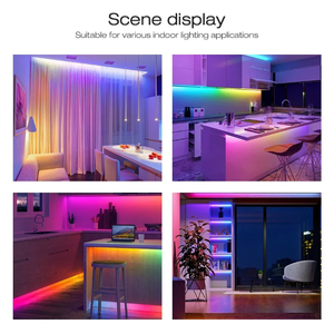 ชุดไฟ LED แบบยืดหยุ่น 5V USB 24V นีออน RGB สีสันครบถ้วน ควบคุมผ่านแอป Bluetooth ชิป 612 ซิลิโคนไลท์ สำหรับตกแต่งบรรยากาศภายในบ้าน - Product Image 5