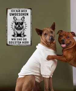 Divertente Targa in Metallo con Scritta 'Chicken I Looked We're Coolest Here', Decorazione Murale a Tema Birra e Feng Shui, Colori Personalizzabili 20x30cm - Product Image 5