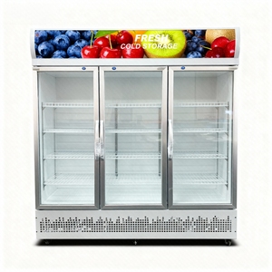 Vetrina Refrigerata Verticale Monotemperatura per Bevande con Controllo LED, Uso Commerciale, Installazione Sottobanco - Product Image 2