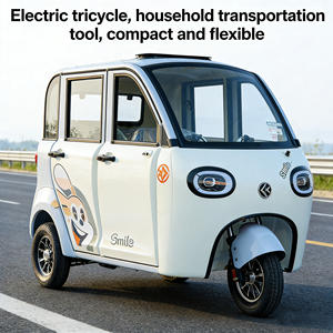Triciclo Eléctrico Doméstico de Doble Puerta, Coche Pequeño para Mujeres, Nueva Energía, 4 Pasajeros, Carro de Transporte de Carrocería Cerrada - Product Image 6