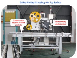 Etiquetadora Automática SKILT para Bolsas y Cajas de Cartón, Impresora y Aplicadora de Etiquetas, Fabricante de Máquinas de Etiquetado en Línea <span class=keywords><strong>Desde</strong></span> 1998 - Product Image 3