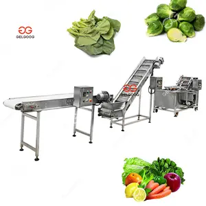 Automatic Commercial Tumbling Cucumber Brush Air Bubble Washing Machine Fruit and Vegetable Washer