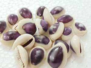 เปลือกหอยทะเลทำจากหนังวัวสีม่วงธรรมชาติมีรูเจาะสำหรับนักออกแบบเครื่องประดับและร้านขายลูกปัดตามสั่ง - Product Image 2