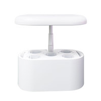 Système hydroponique domestique Macaron Colors de taille compacte, mini jardin intelligent pour la culture hydroponique intérieure