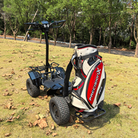 Carro de Golf Plegable de 4000W a Precio de Fábrica, Mini Carro de Golf de 1 Plaza, Buggy de Golf 60V 4x4, Vehículo Utilitario de 1 Plaza, Carro de Golf Eléctrico de 4 Ruedas
