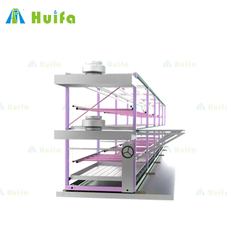 버섯 성장 랙 다단계 4x8 Ft 보육 수직 실내 농업을위한 환기와 랙 시스템을 성장